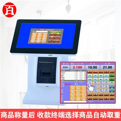 10.1 inch capacitive touch screen E86D(Doctor)